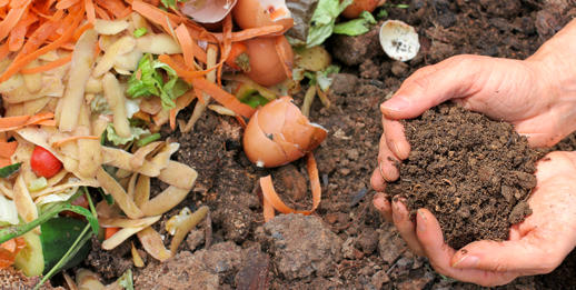 Jardinagem, projetos, adubação orgânica e química